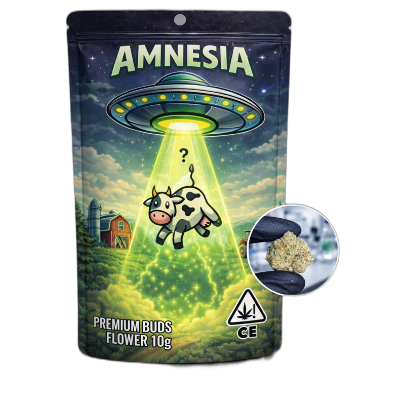 Amnesia